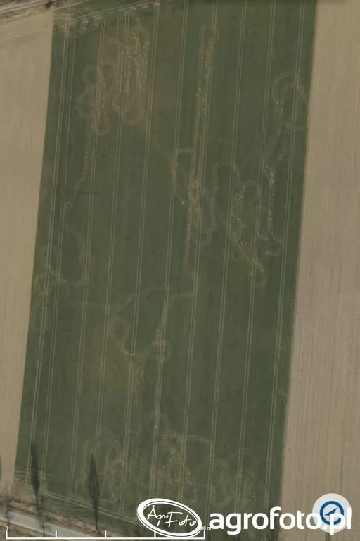 Geoportal ARiMR dane rolników