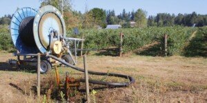 Budowa studni na polu i przy domu – kiedy wolno kopać bez pozwolenia?