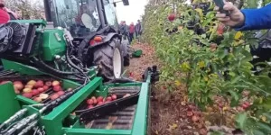 Integrowana produkcja roślin: zgłoś się i&nbsp;zdobądź certyfikat IP