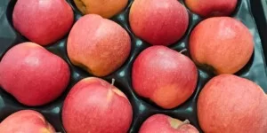 Polskie jabłka do Brazylii? Szansa dla sadowników