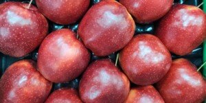 Ceny jabłek deserowych luty 2026. Stawki hurtu rosną
