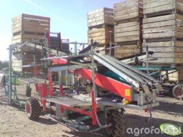 Nowe zasady oznakowania owoców mogą sprawi, że klienci częściej będą wybierali polskie produkty.