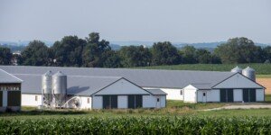 Polska wieś i&nbsp;rolnicy pod ochroną. Co konkretnie zyskają?