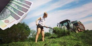 Składka zdrowotna rolników 2026 w&nbsp;górę. Ile trzeba będzie płacić od kwietnia?