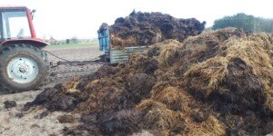 Rolnicy pod presją nowych mieszkańców. Nowi sąsiedzi oczekują ciszy