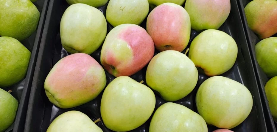 Eksport polskich jabłek poza UE. Więcej rynków, mniejszy tonaż