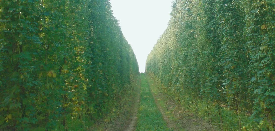 Zmiany w&nbsp;KPO. Sprawdź, czy dotyczą także twoich inwestycji