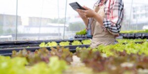 Składki KRUS 2026. Rolnicy muszą pilnować nowych stawek