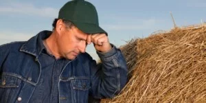 Kryzys uderza w&nbsp;rolników. „Tylko jedna uprawa pozwala osiągnąć niewielki zysk”