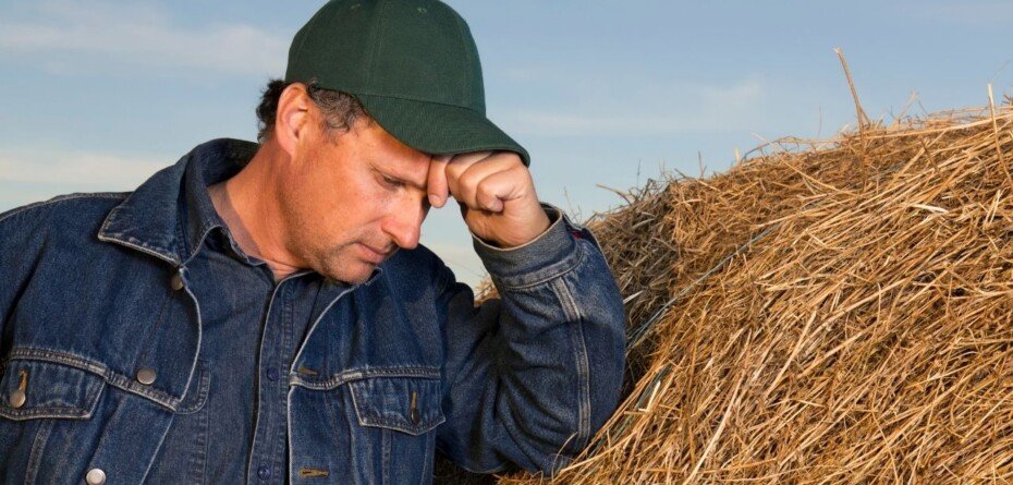 Kryzys uderza w&nbsp;rolników. „Tylko jedna uprawa pozwala osiągnąć niewielki zysk”