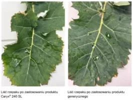 Dokładność pokrycia roślin cieczą opryskową zalezy od zastosowanych produktów.