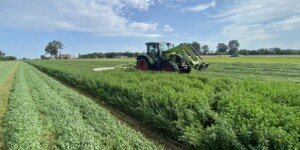 Ekoschematy 2026: które można łączyć, a&nbsp;które wykluczają dopłaty?