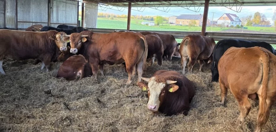 Dobrostan zwierząt – dokumenty do 21 marca