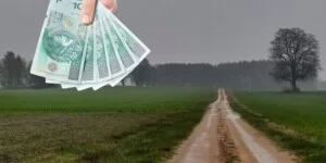 Rusza kampania dopłat 2026