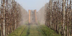 Sadownicy: zasady IP 2026 bez zmian