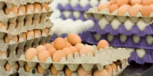 Ceny jaj 2026 przed Wielkanocą rosną. W&nbsp;hurcie już nawet 85 gr za sztukę