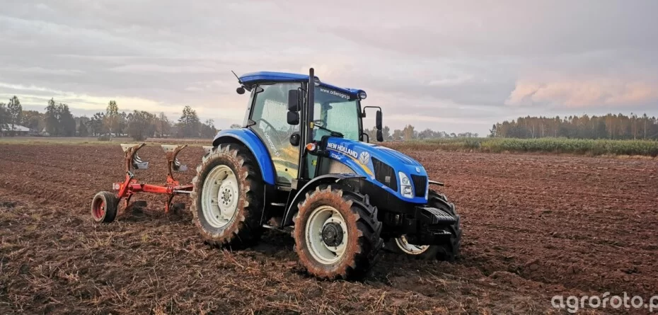 Ceny ziemi rolnej 2026 według GUS. Nawet 80 tys. zł za hektar