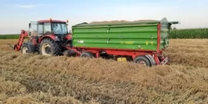 Ceny zbóż 2026: rolnicy wstrzymują sprzedaż. Są nowe prognozy