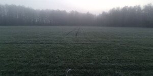 Przymrozki i&nbsp;deszcz. Pogoda na Święta Wielkanocne