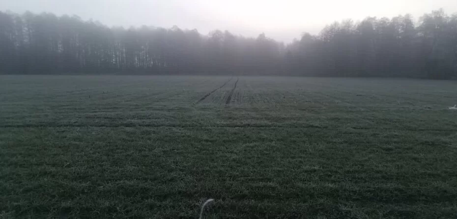 pogoda na Święta Wielkanocne