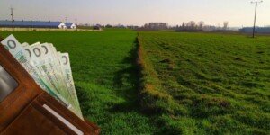 Składki KRUS II kwartał. Tyle zapłacą rolnicy