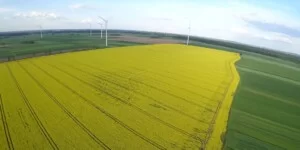 Ochrona ziemi z&nbsp;podpisem prezydenta