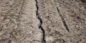 Niewidzialny problem na polach. Erozja zabiera żyzność gleby