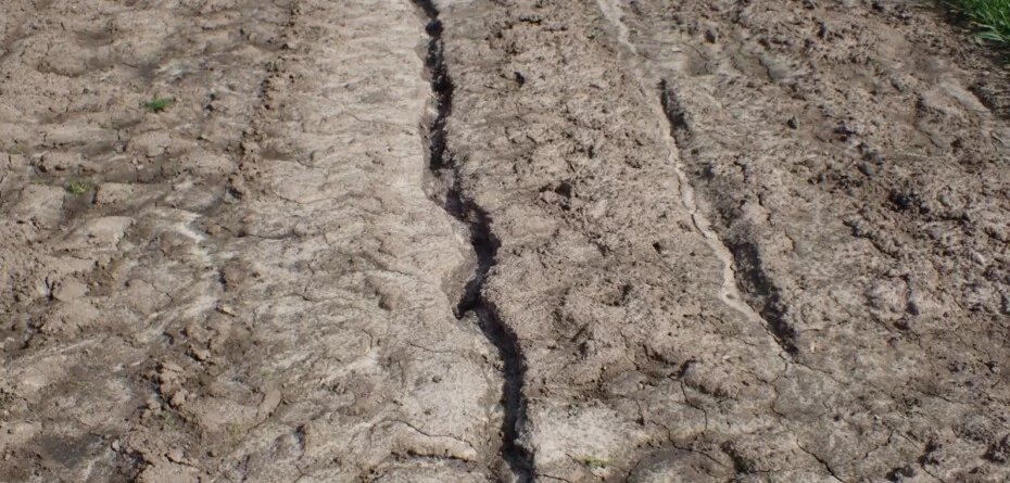 Niewidzialny problem na polach. Erozja zabiera żyzność gleby