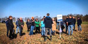 BASF ocenia uprawy. Wiosenna ochrona rzepaku i&nbsp;zbóż rusza