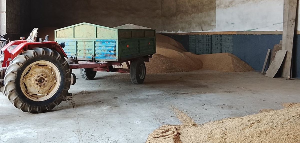 Powstaje kalkulator opłacalności. Nowy pomysł na ceny skupu