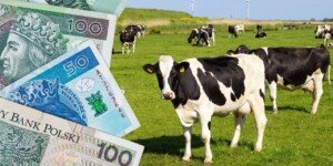 113 ha do wzięcia od KOWR na Dolnym Śląsku. W&nbsp;pakiecie pałac. Kto się skusi?