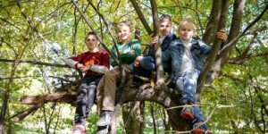 Do kiedy złożyć wniosek 800 plus? Rolnicy mogą stracić wypłaty