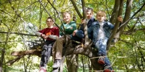 Do kiedy złożyć wniosek 800 plus? Rolnicy mogą stracić wypłaty