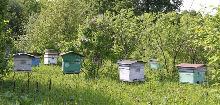 Rejestracja zwierząt obowiązkowa. Rolnicy mają czas do 18 czerwca