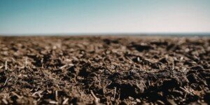 Certyfikaty węglowe w&nbsp;rolnictwie pod znakiem zapytania