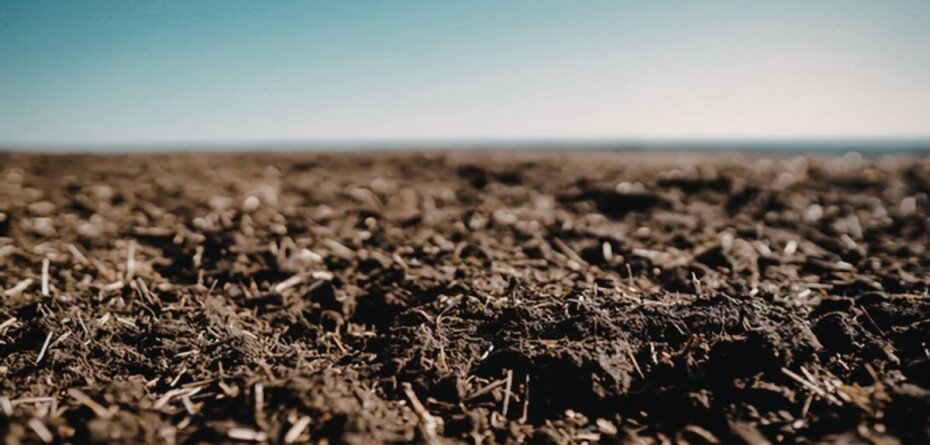 Certyfikaty węglowe w rolnictwie pod znakiem zapytania