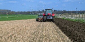 Wypadek w&nbsp;rolnictwie? Ten termin decyduje o&nbsp;odszkodowaniu