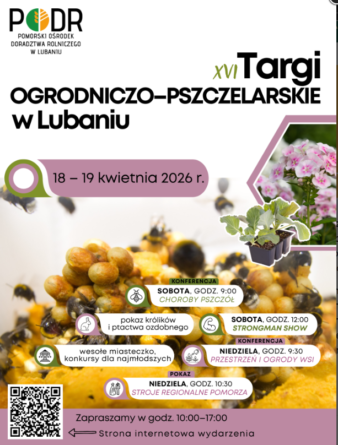 Rodzinny weekend na wsi