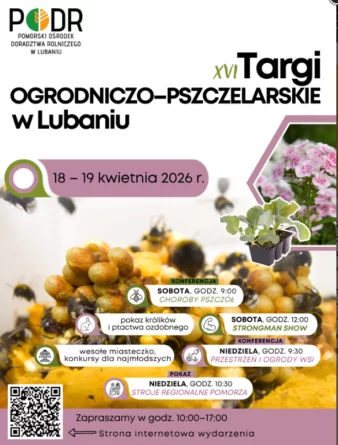 Rodzinny weekend na wsi