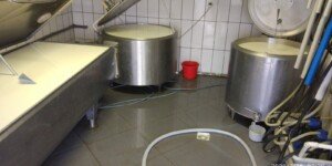 Ceny skupu mleka 2026. Rolnicy pokazują stawki i&nbsp;pytają, gdzie jest dno