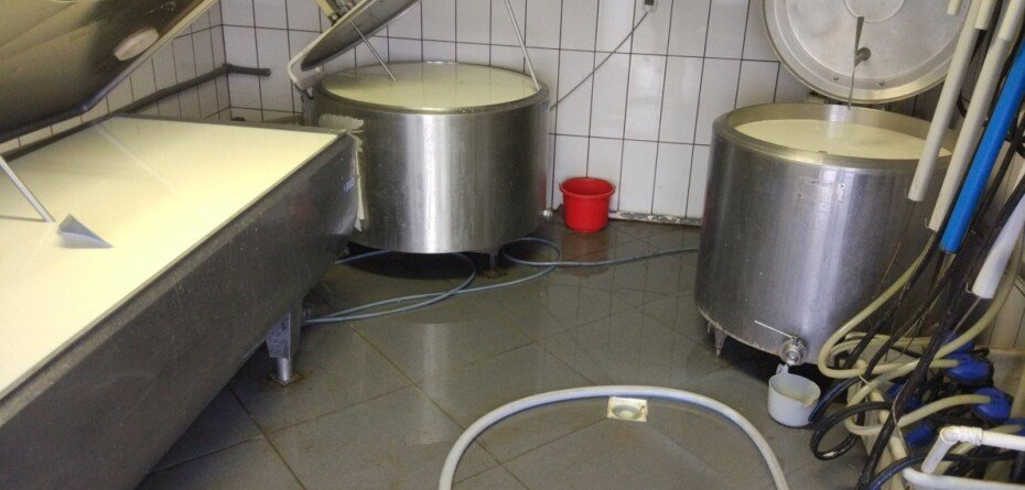 Ceny skupu mleka 2026. Rolnicy pokazują stawki i&nbsp;pytają, gdzie jest dno