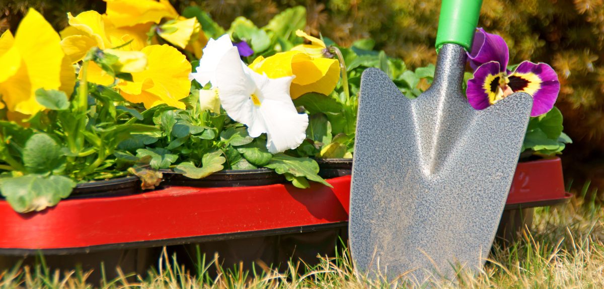 Rodzinny weekend na wsi – gdzie pojechać 18–19 kwietnia 2026?