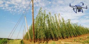 Wniosek o&nbsp;płatność końcową KPO. Termin mija, rolnicy mogą stracić dotacje