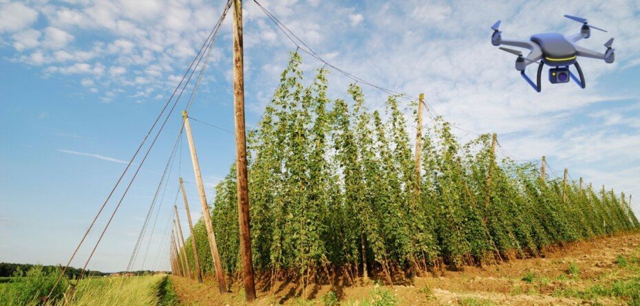 Wniosek o płatność końcową KPO. Termin mija, rolnicy mogą stracić dotacje