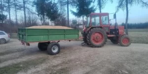 Ceny pszenicy 2026 stoją. Sprzedawać czy jeszcze czekać?