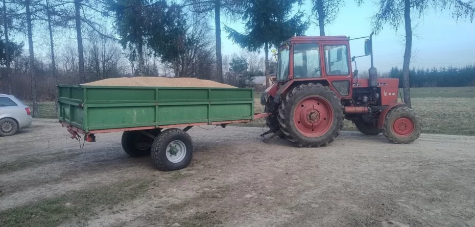 Ceny pszenicy 2026 stoją. Sprzedawać czy jeszcze czekać?