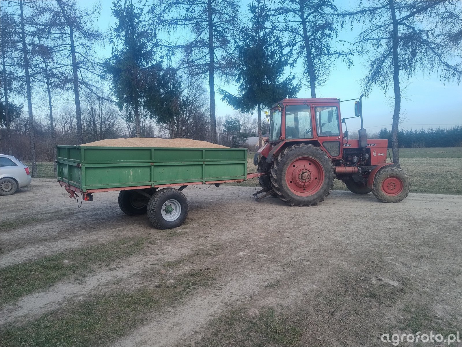 Ceny pszenicy 2026 stoją. Sprzedawać czy jeszcze czekać?