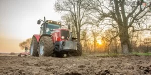 Drzewa sąsiada na polu. Rolnik może ciąć. Ale nie zawsze