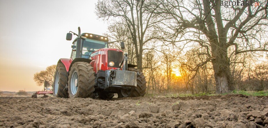 Drzewa sąsiada na polu. Rolnik może ciąć. Ale nie zawsze