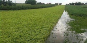 Dopłaty do ubezpieczeń upraw 2026. Kto zyska, kto zapłaci więcej?